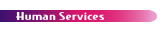 human services category rollover link