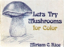 Mushroom Dye book