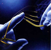 Flexon frame with Titanium memory metal is very flexible