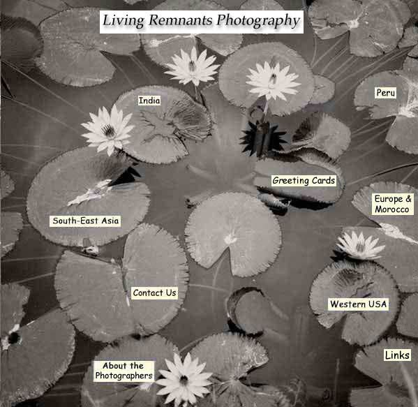 Welcome to the homepage of Living Remnants Photography. Please ensure that your browser is configured for graphics before exploring this site. 