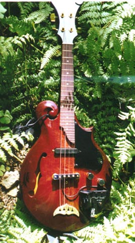 Roland 5 Sting Synth Mandolin