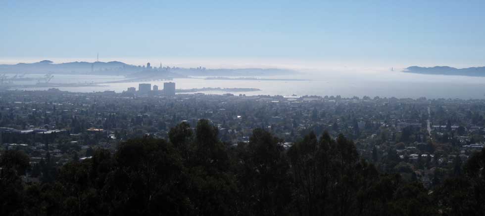 SF skyline