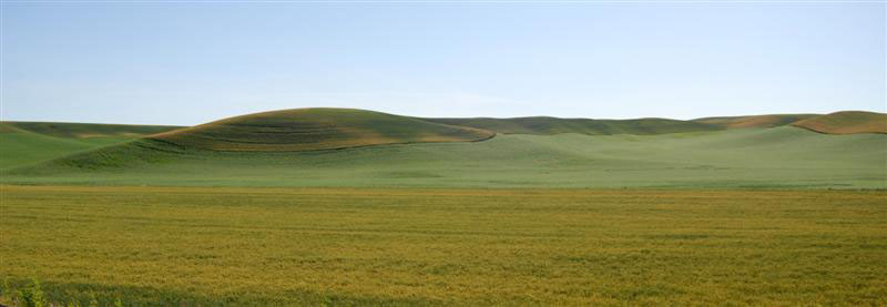 Palouse landscape, western Idaho