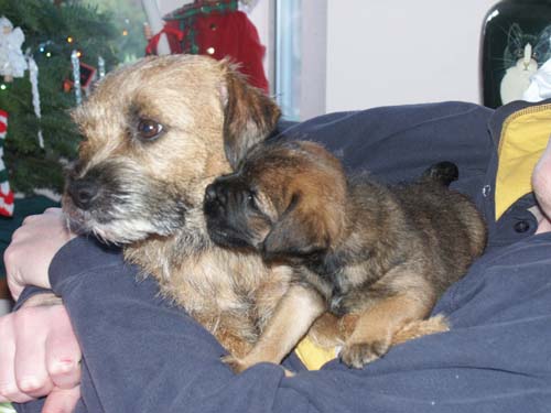 poppy&spoiled