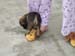 slipper2