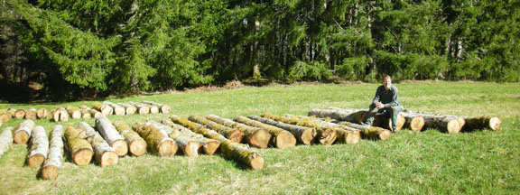 Log deck