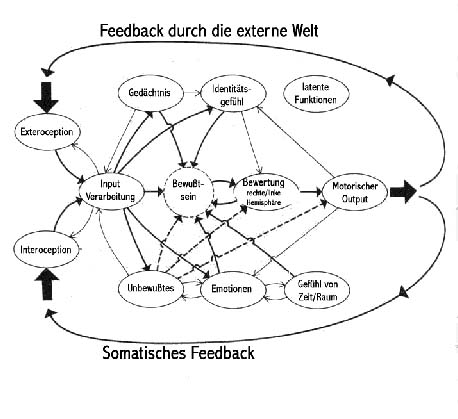 Tart Faktoren.jpg