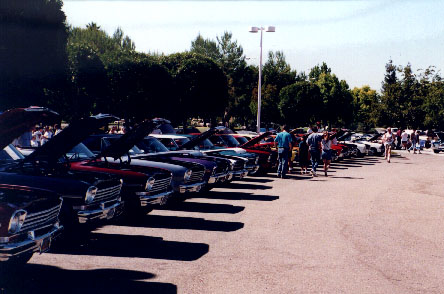 Lots of Novas