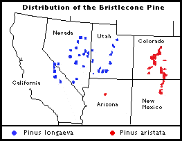 distribution graphic