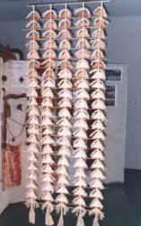 Anna KIng mushroom paper exhibit.jpg (635640 bytes)