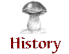 Mushroom for Colors History