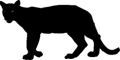 Panther-sm-rev1.gif (9209 bytes)