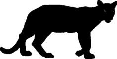 Panther-sm1.gif (9146 bytes)
