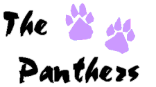 The_Panthers-180.gif (13943 bytes)