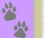 paws5a-sm.gif (3765 bytes)