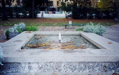 pond