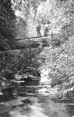 Black Sulphur springs canyon stream with log bridge.