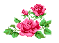Hall of Flowers