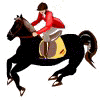 Horse Racing