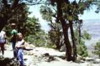 slides1987box135_small.jpg