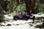 slides1987box204_small.jpg