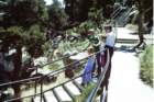 slides1987box211_small.jpg