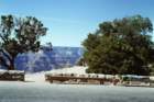 slides1987box218_small.jpg