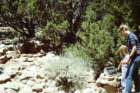 slides1987box228_small.jpg