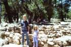slides1987box229_small.jpg