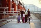 slides1987box236_small.jpg