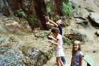 slides1987box310_small.jpg