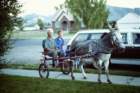 slides1987box336_small.jpg