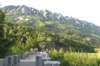 alaskajune201600710_small.jpg