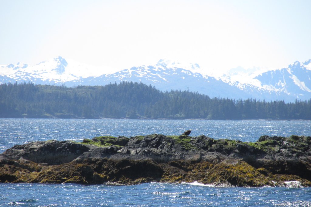 alaskajune201601450.jpg