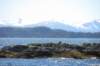alaskajune201601450_small.jpg