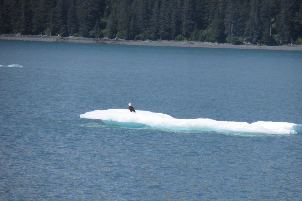 alaskajune201602170.jpg