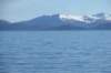 alaskajune201602790_small.jpg
