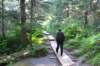 alaskajune201603610_small.jpg