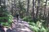 alaskajune201603640_small.jpg