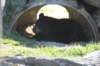 alaskajune201604330_small.jpg