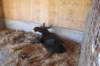 alaskajune201604520_small.jpg
