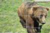 alaskajune201604710_small.jpg