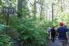 alaskajune201605010_small.jpg