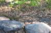 alaskajune201605470_small.jpg