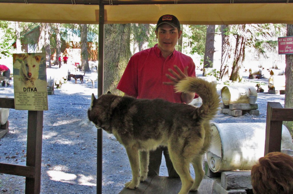 alaskajune201605950.jpg