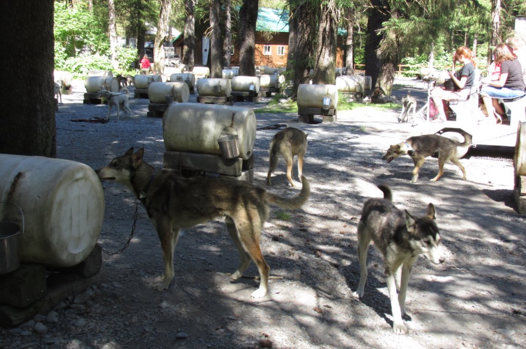 alaskajune201606110.jpg
