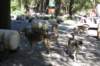 alaskajune201606110_small.jpg