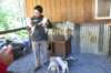 alaskajune201606280_small.jpg