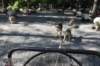 alaskajune201606570_small.jpg