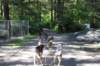 alaskajune201606620_small.jpg